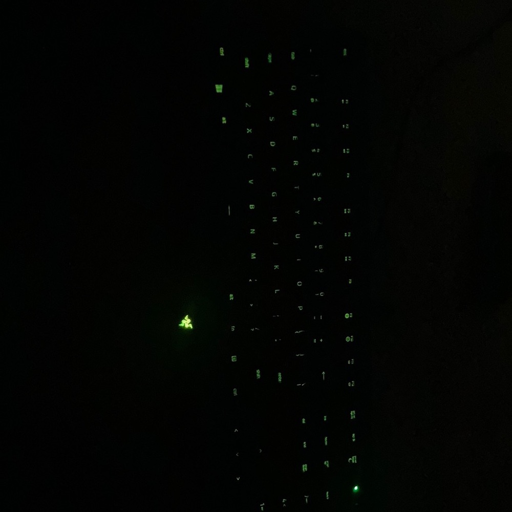 RAZER CYNOSA LITE KEYBOARD.